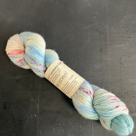 Blackbird - Darling DK