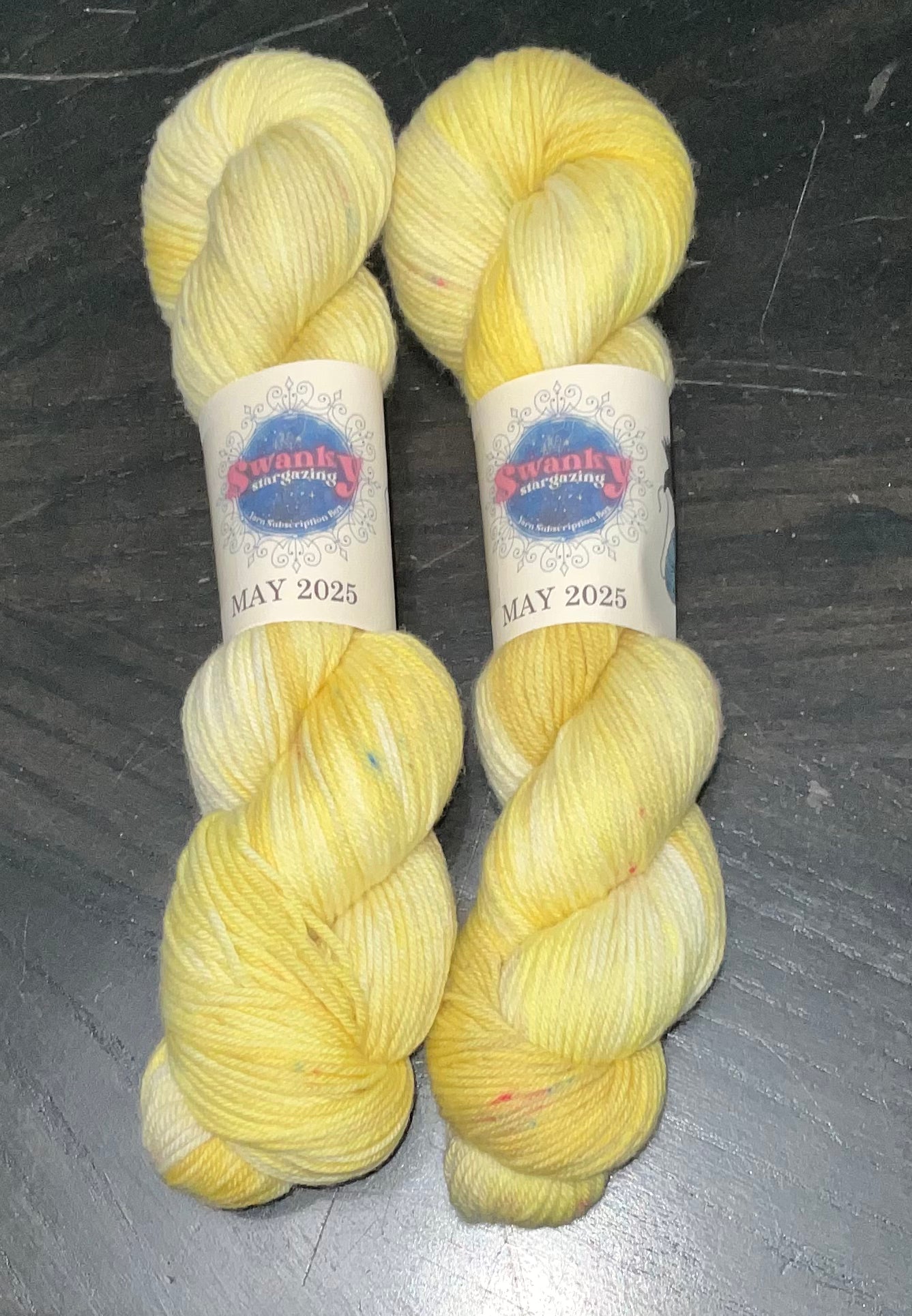 Swanky Stargazing Yarn from the 2025 subscription
