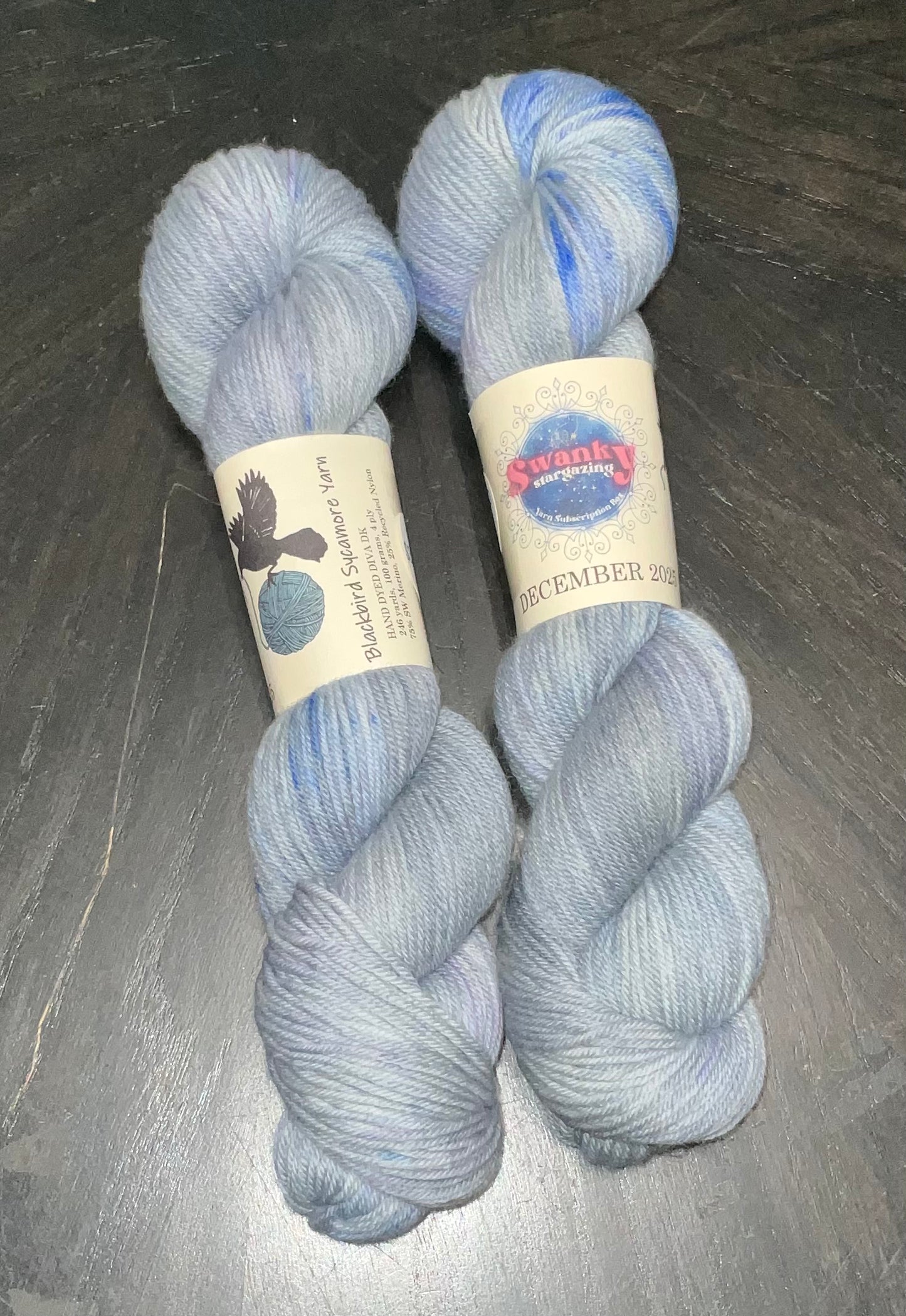 Swanky Stargazing Yarn from the 2025 subscription