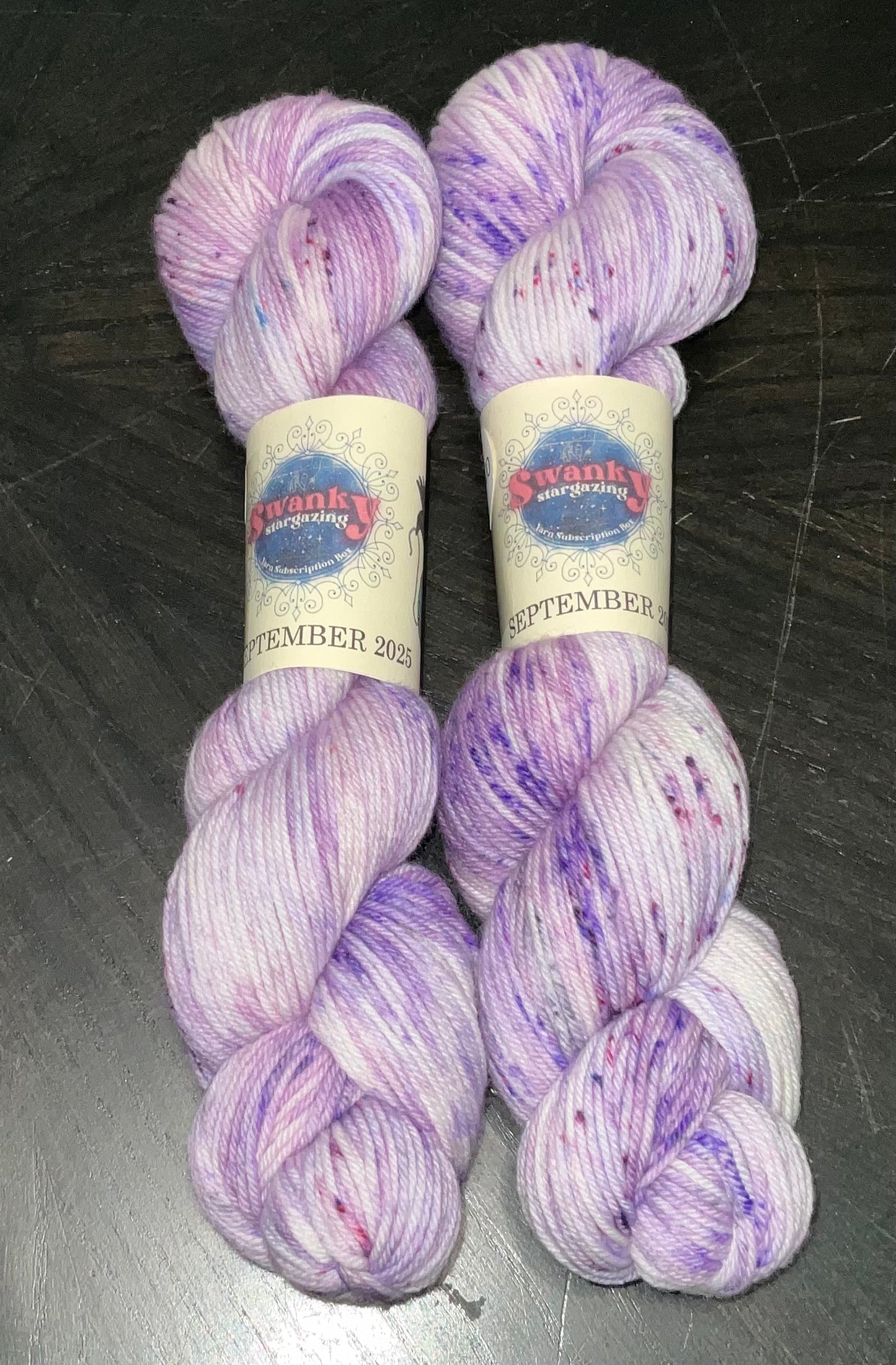 Swanky Stargazing Yarn from the 2025 subscription
